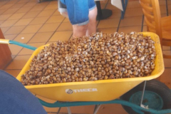 211b7af0-2117-4642-af64-fa7636de5687