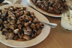 5b7fa161-bc3e-42c5-b0ef-239a71f87c0b