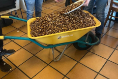 5edc68c3-5fa3-496f-902e-ff7ee234bb2d