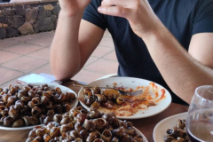 6ba3ea65-aa61-49e6-a975-dcdcf131f1ab