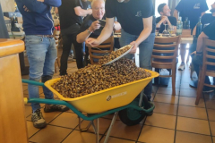 b6f0dadc-0e95-4b73-a9fe-b9f87fdbefee