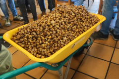 e8bf640d-b211-4f74-bacb-5f3701c70a0c