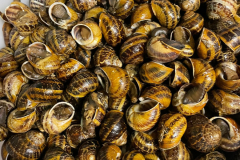 0106c36f-8f36-4638-a3cb-1b9ad1852f50