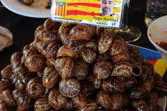 0ce10ff6-0301-404a-af97-650edbf77492