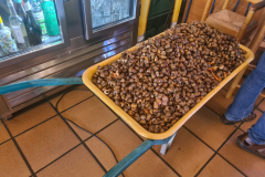 0f4dbe4f-6120-4ea9-a9fb-61ff7ba4f3bf