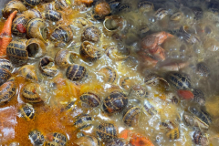 3c0500a1-f0a5-4f75-951d-d89d37a55d1b