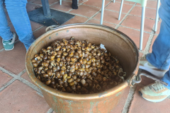 40cdac7b-3484-43f4-b351-96674f4ef925