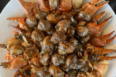 4330c179-0a45-49cc-9e86-459667a98db7