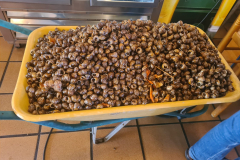 729aa705-a313-45e8-b362-ea07c318c72f