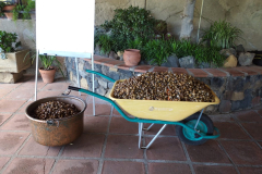 75e726c2-83a9-4fe8-93ef-fa8195fe9a49