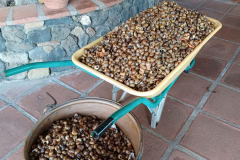 8bf9370f-8ade-4eab-838d-f52356714c4b