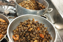 99d4da85-c520-48f3-9569-90b02d00694e