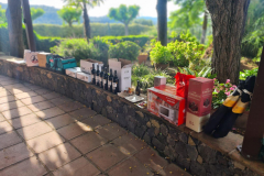 d059e303-20c0-4696-b33c-6a14a57638e2