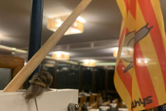 edf364a2-2446-457c-b77d-d79ea0e0ee60